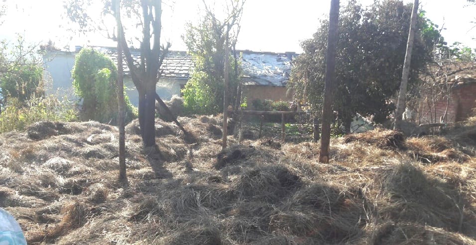 6 lashes of grass burnt with fireworks