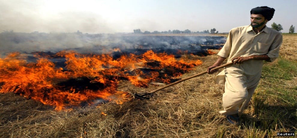 Sugarcane crop ash