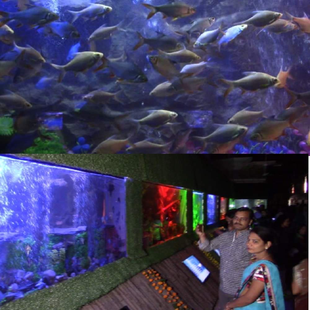 according to fengshui keep 8 fish in aquarium
