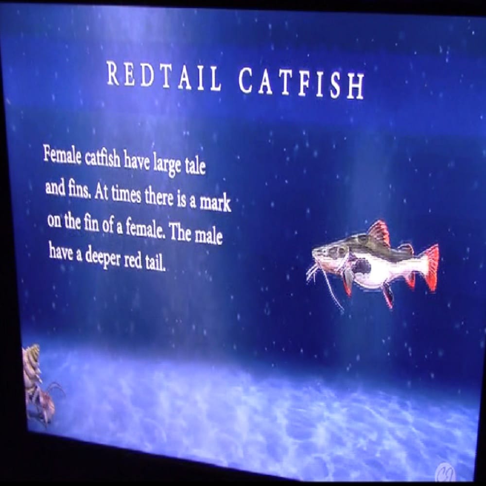 india-s first virtual aquarium started in udaipur rajasthan 