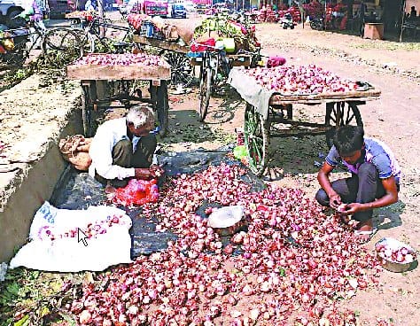 The festival began to mourn the onion