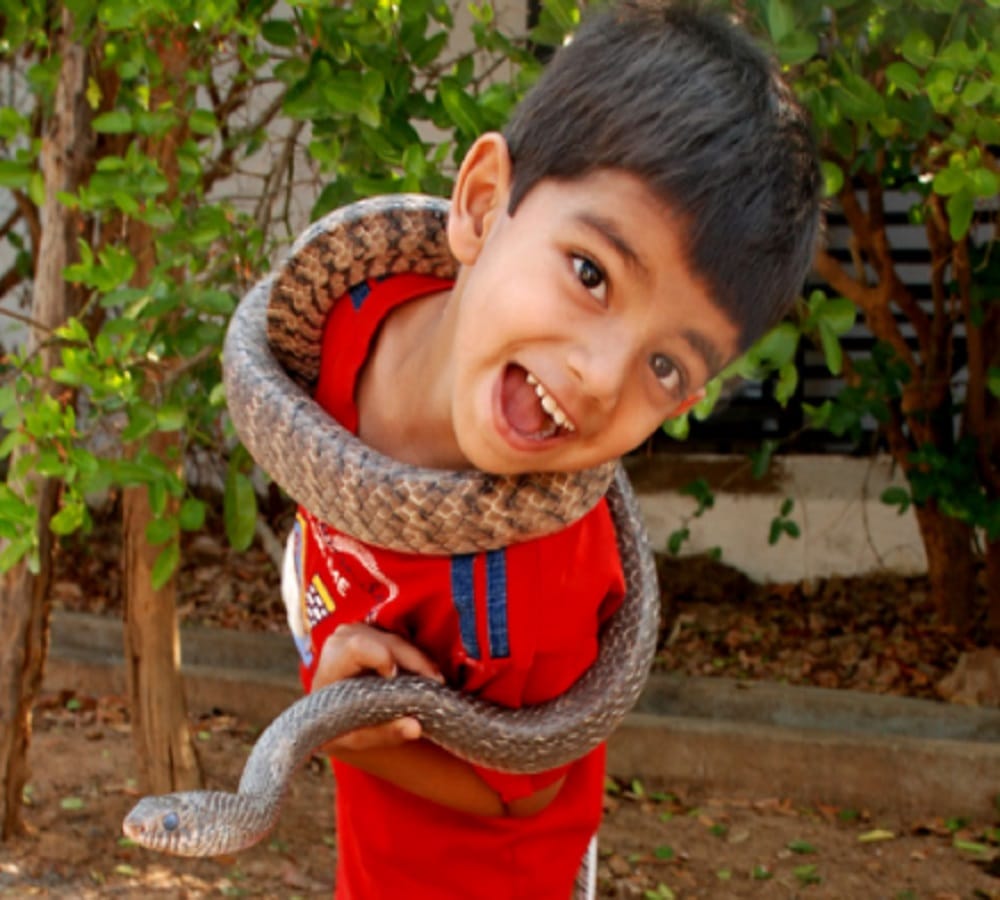  Prakash Amte open small Animal sanctuary in its house where children lives with dangerous animals