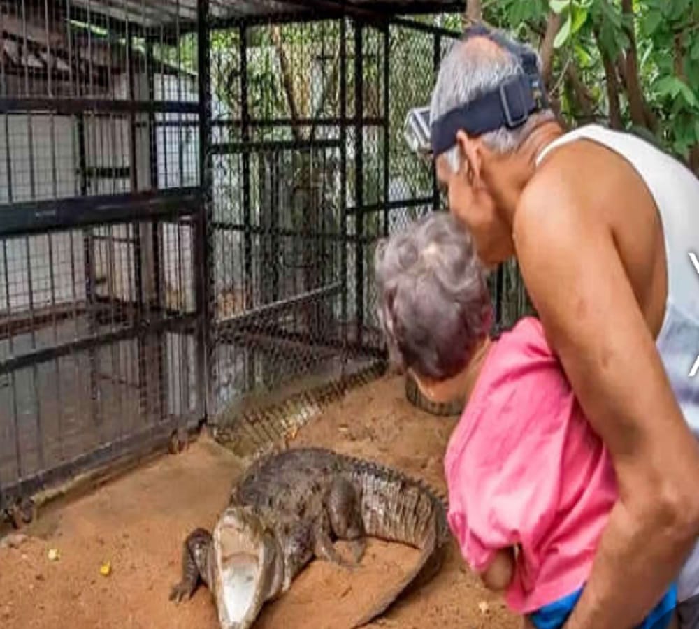  Prakash Amte open small Animal sanctuary in its house where children lives with dangerous animals