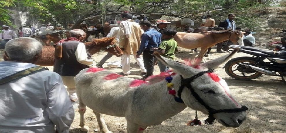 historical importance of donkeys fair organised in chitrakoot