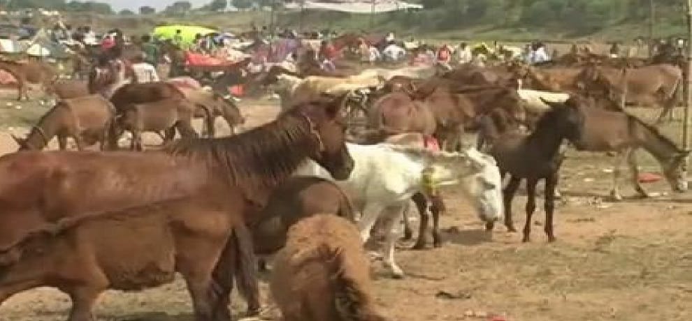 historical importance of donkeys fair organised in chitrakoot