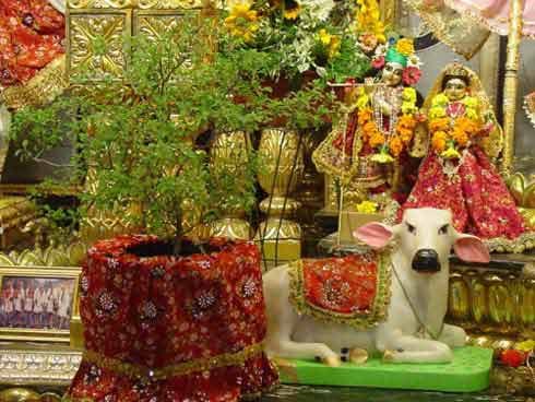  tulsi vivah on 31 october 2017 and dev pravodhni ekadashi story