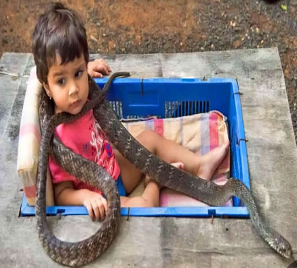  Prakash Amte open small Animal sanctuary in its house where children lives with dangerous animals