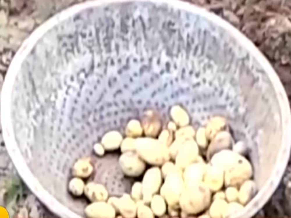 shocking incident in Kedarnath dham after door closing ceremony
