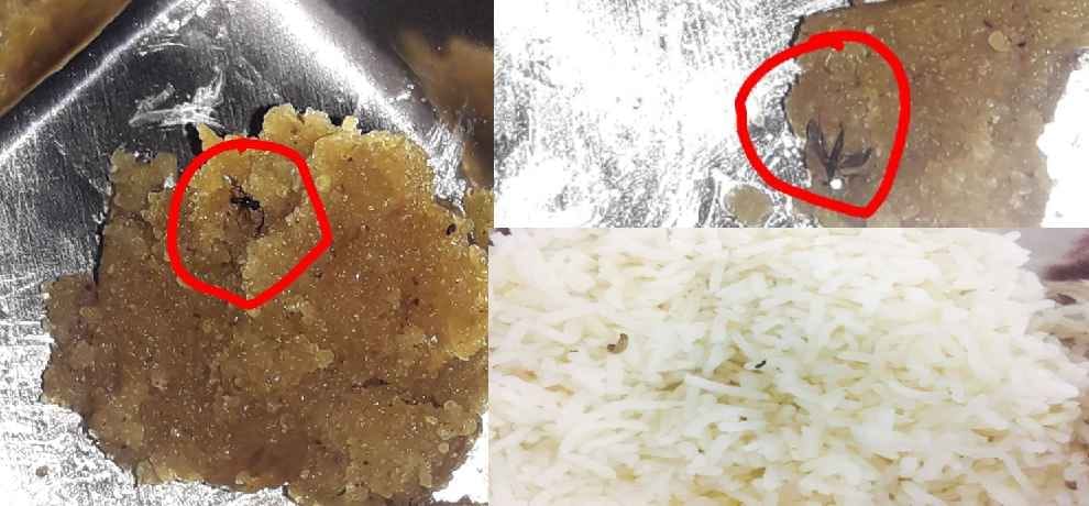 medical college chamba worms found in food