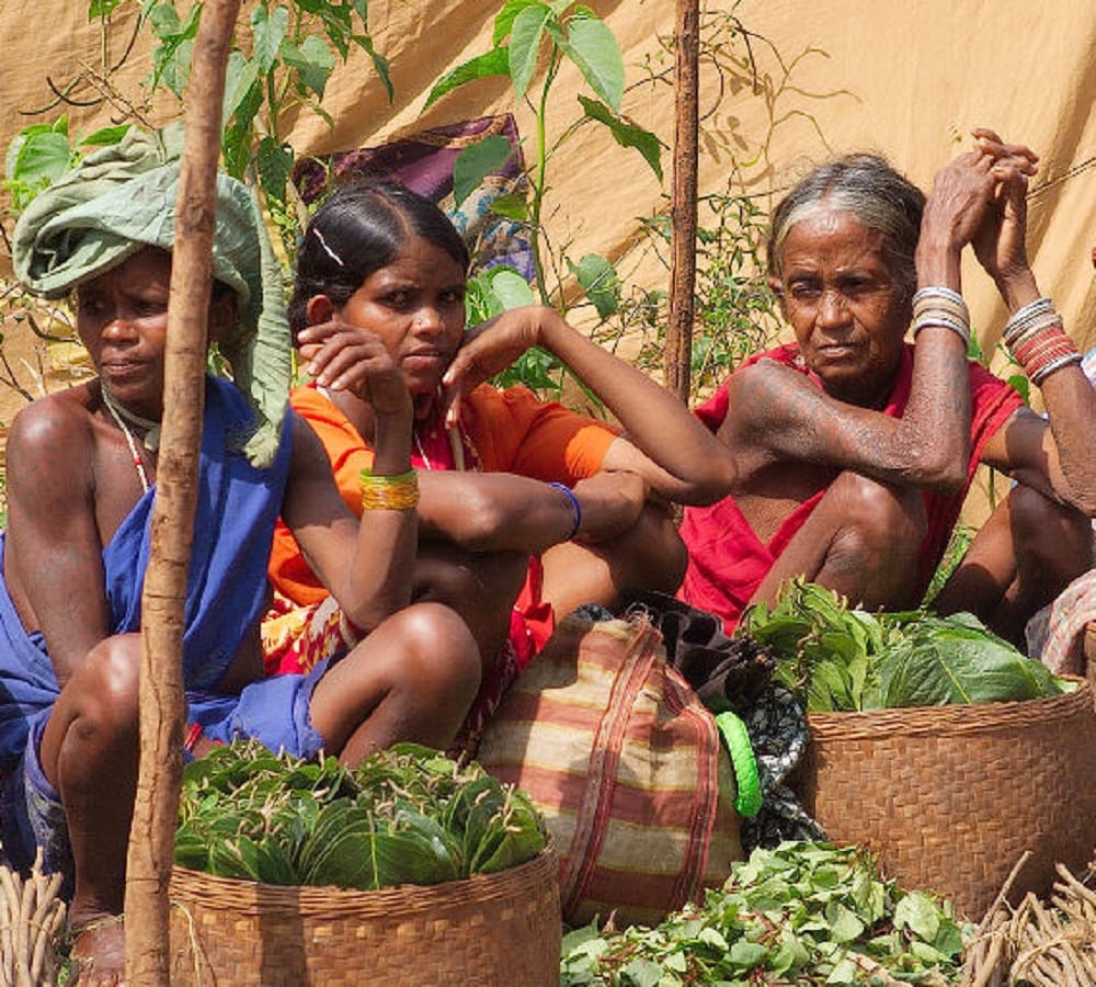 central Government wants to implement MSP on forest products in the election code of conduct