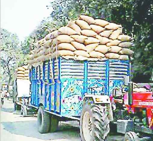 Paddy of UP sold in mandis of Haryana