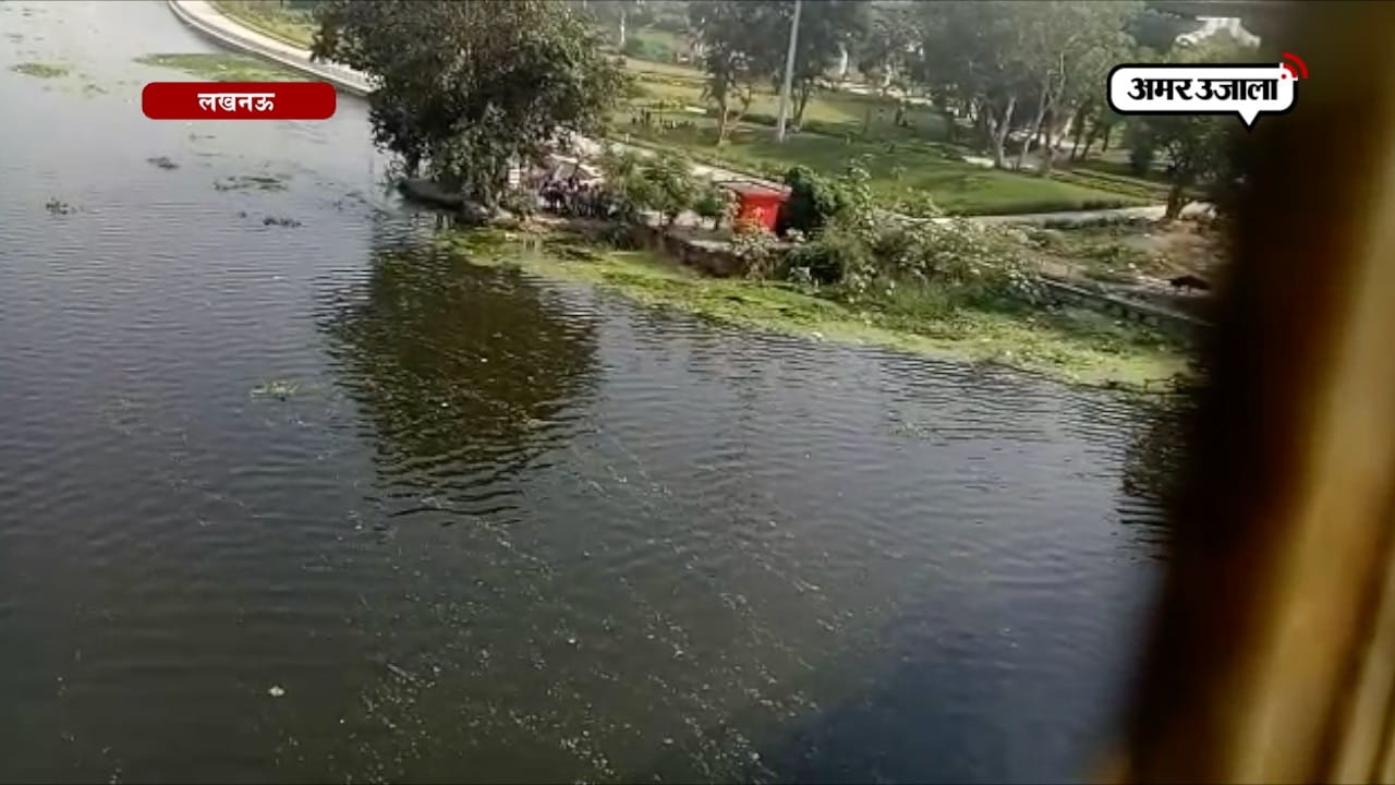 युवक ने लगाई नदी में छलांग, लोगों का लगा मजमा
