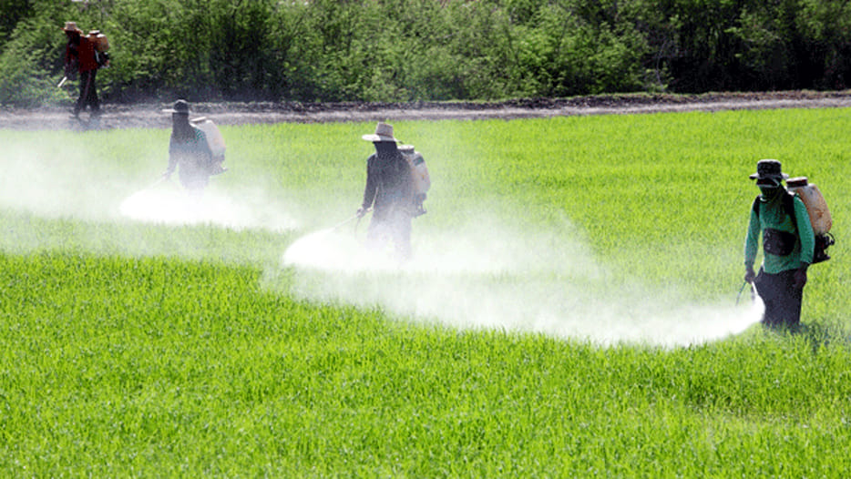 Indiscriminate use of insecticides