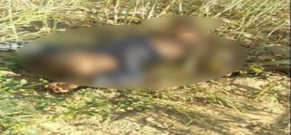minor girl Murderd after rape in pune