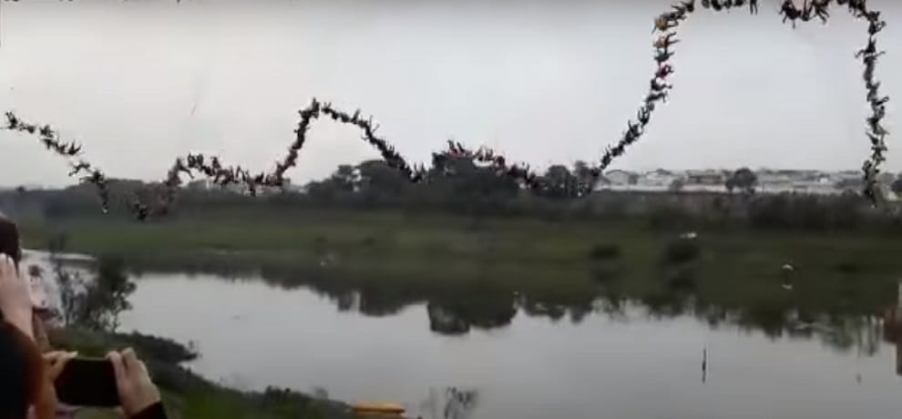 two hundred fourty five people jumped from a bridge together for making record