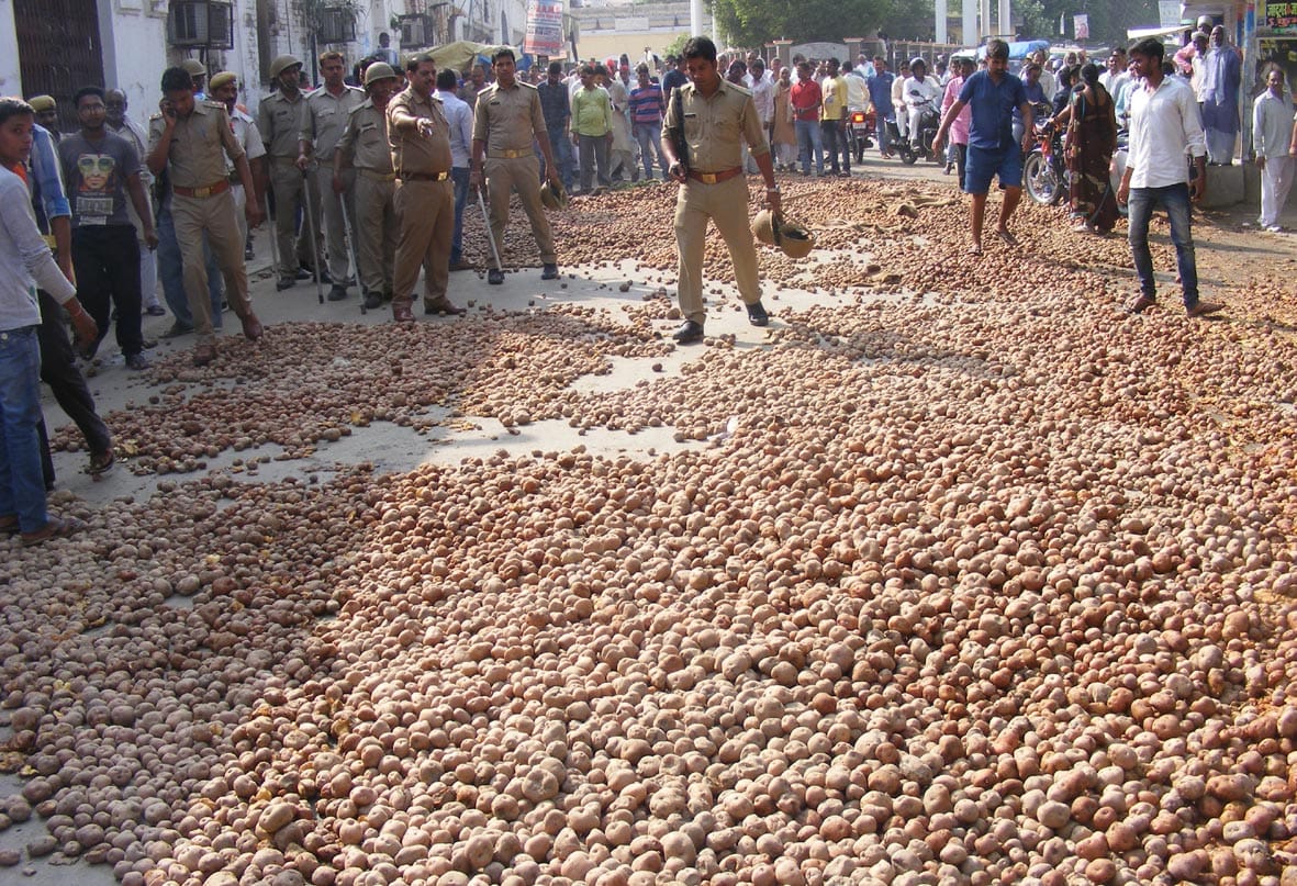 farmers throws potatoes at road in ghazipur