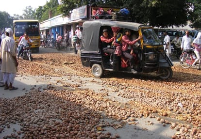 Up govt did not send any proposal to Central govt for Buying potatoes