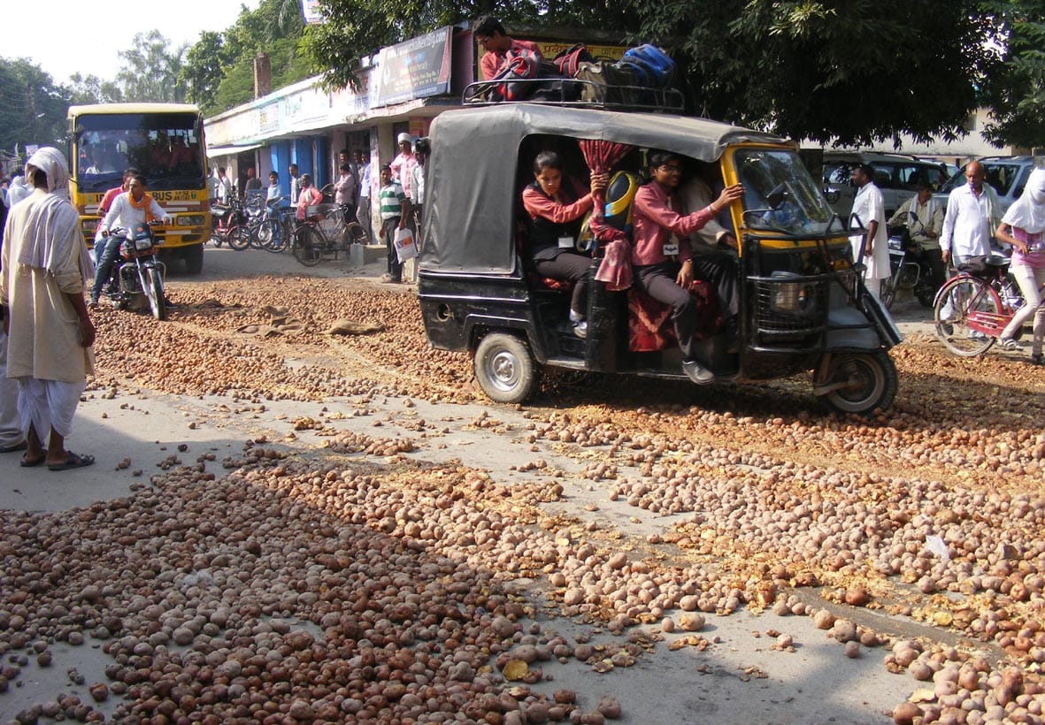 farmers throws potatoes at road in ghazipur
