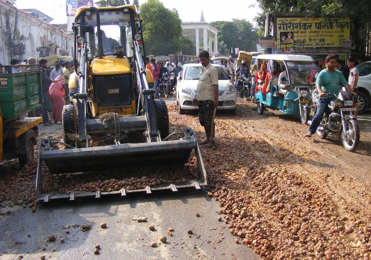 farmers throws potatoes at road in ghazipur