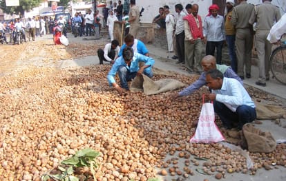 potato price reaches all time low to 20 paise per kg in uttar pradesh districts