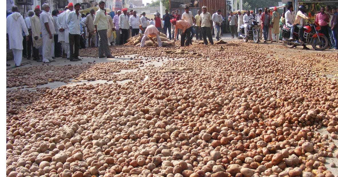 जिले के शीत गृहों में 50 हजार क्विंटल आलू फंसा