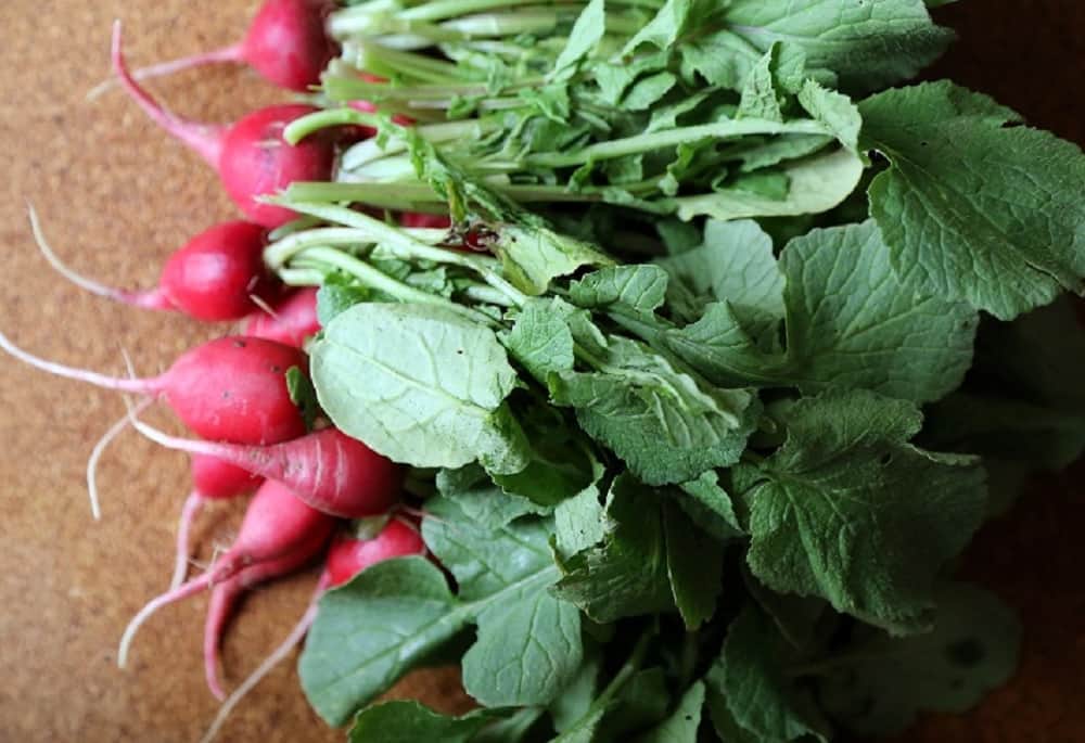 Never eat radish with these two things
