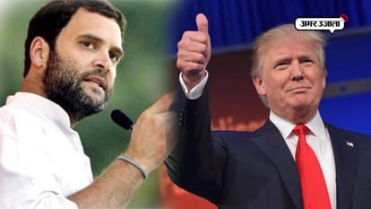 Rahul Gandhi on fake twitter followers posts dog video pidi