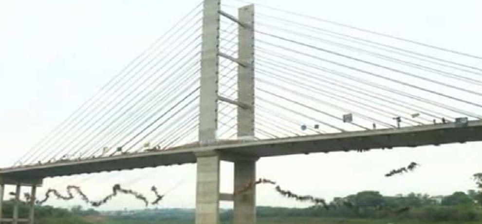 two hundred fourty five people jumped from a bridge together for making record