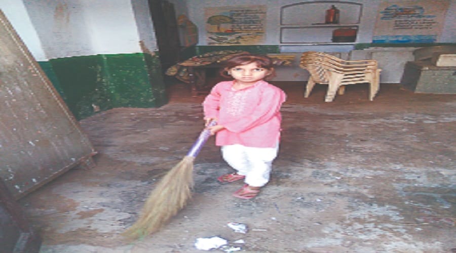 These are governmental studies, cleaning school