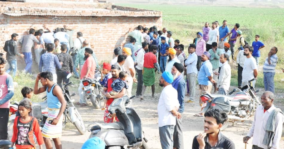 20 Feet Python Inside The House, Mohali news