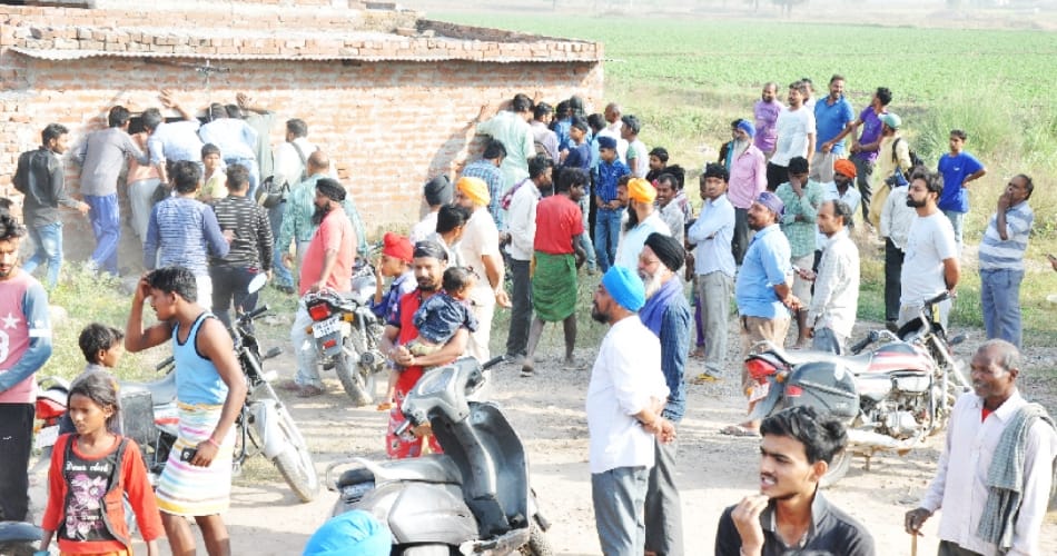 20 Feet Python Inside The House, Mohali news