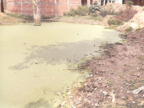 Fever in fever, more than 150 sick in Mauya-Chandapur