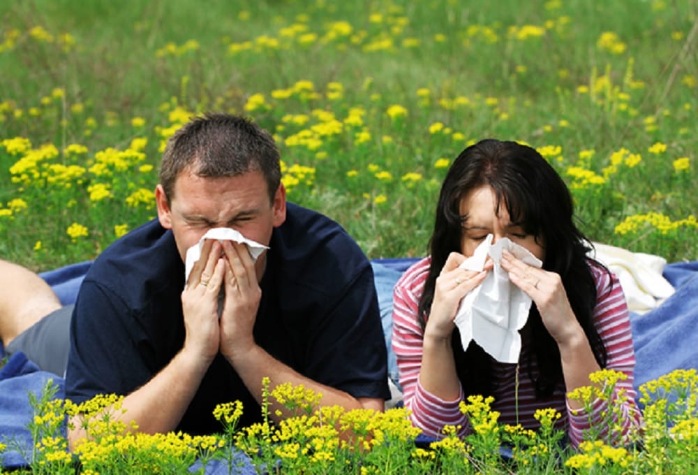 These precautions will help you to avoid seasonal allergies