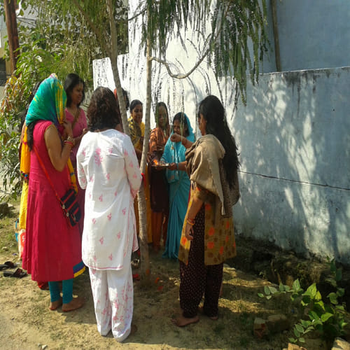 akshaya navami 2017 worship time or puja shubh muhurat and importance of amla navami