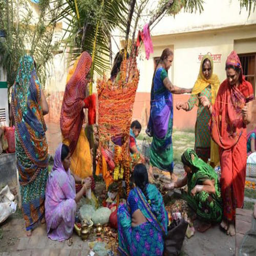 akshaya navami 2017 worship time or puja shubh muhurat and importance of amla navami