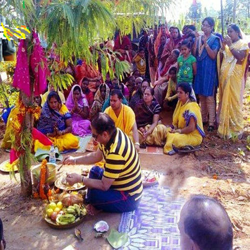 akshaya navami 2017 worship time or puja shubh muhurat and importance of amla navami