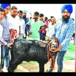 हनीप्रीत नाम की कटड़ी