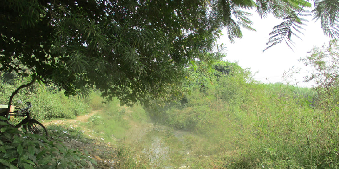 Water coming from the Ganga Canal for months