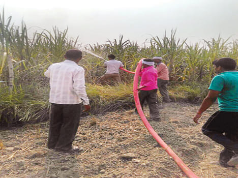 Burning 50 bigha sugar cane from the hightension line fall
