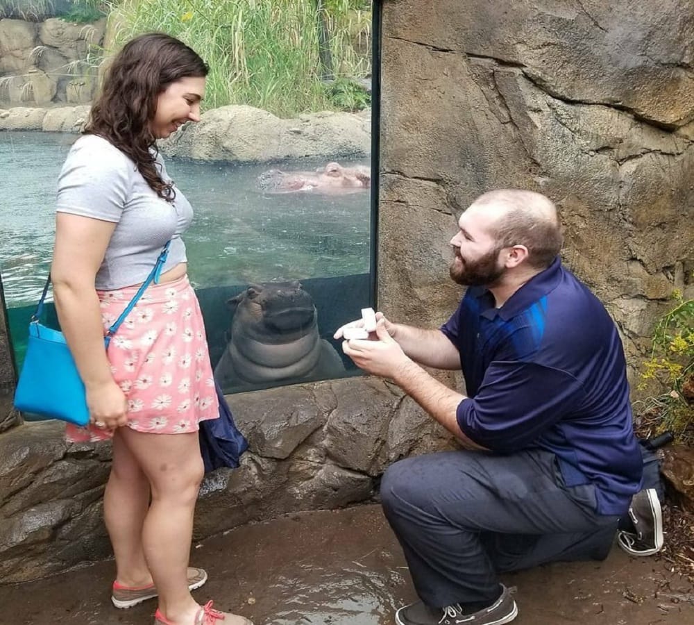 pictures viral of boyfriend girlfriend on social media due to a baby hippo
