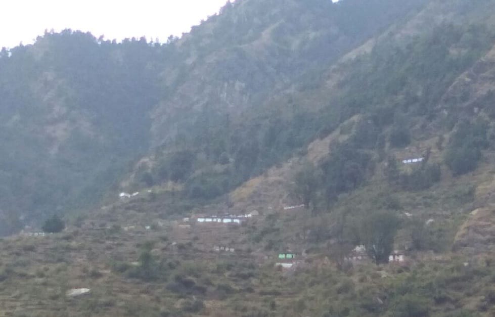 मेहरागांव के जंगल में लगी आग