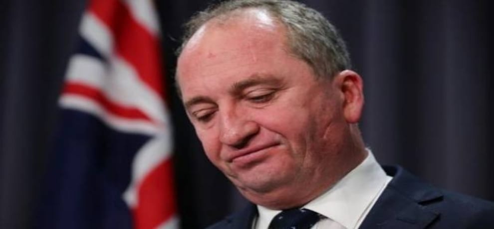 High Court disqualified the deputy prime minister of Australia 