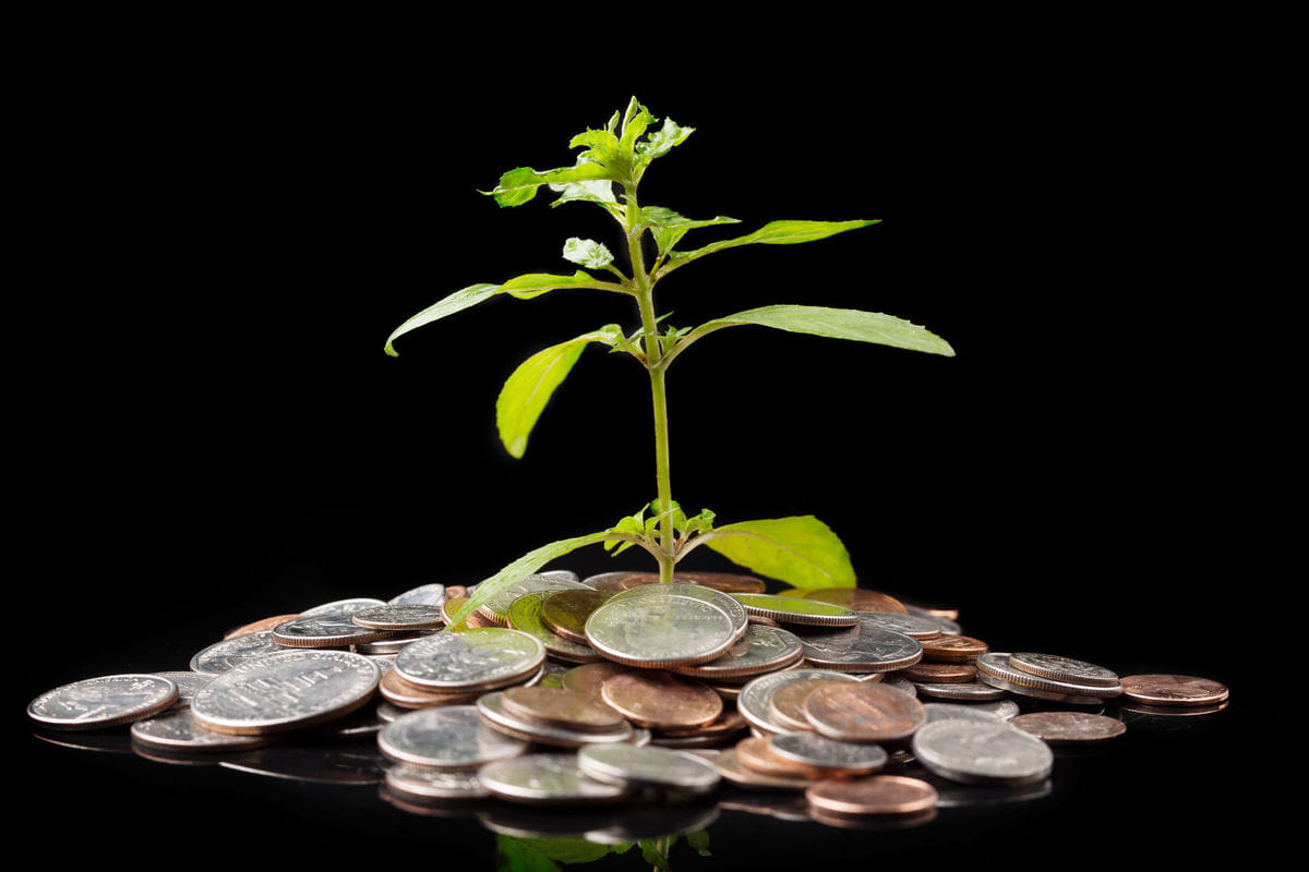 these 5 vastu dosh in the house always indicate bad luck and lack of money