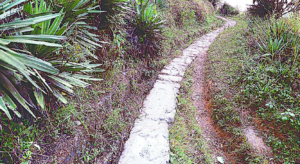 Canal stopping as soon as it goes under government department