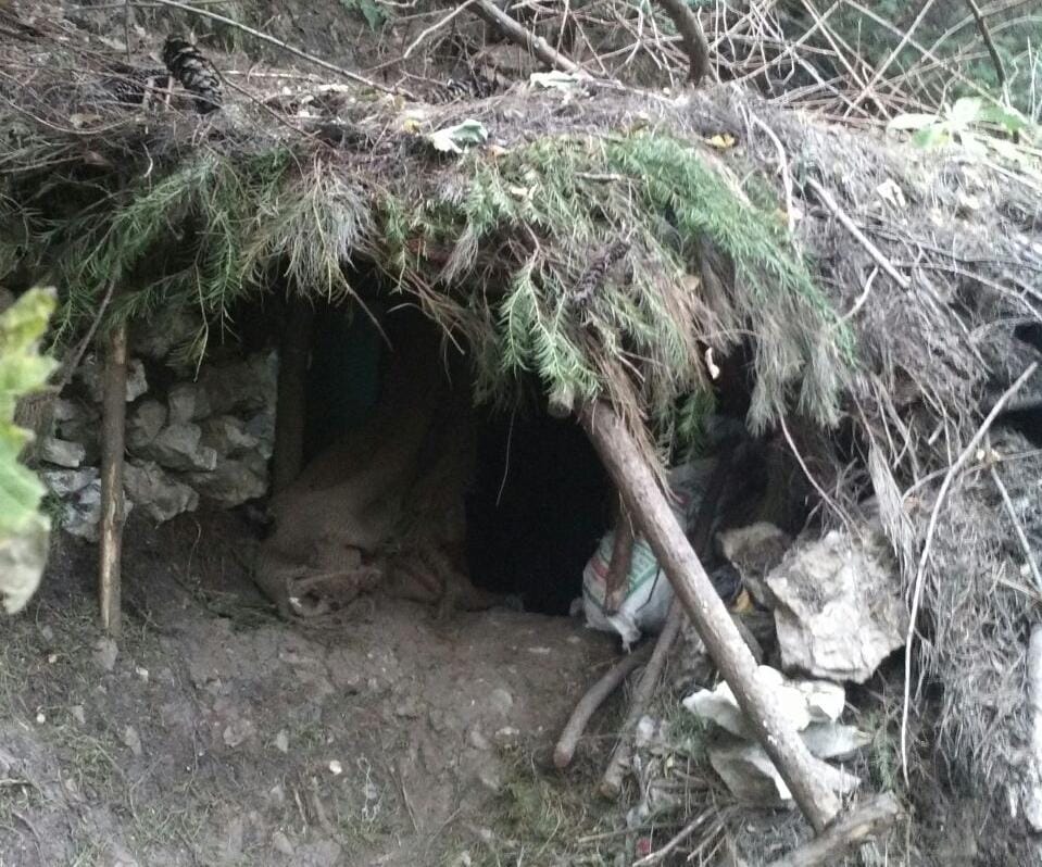 Two bases of Jaish-e-Mohammad busted in the valley