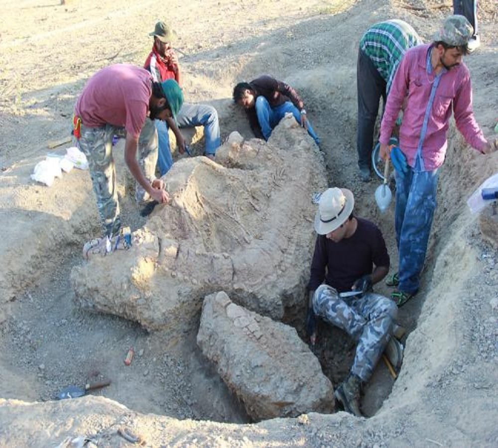 Dinosaurs found for the first time in India 