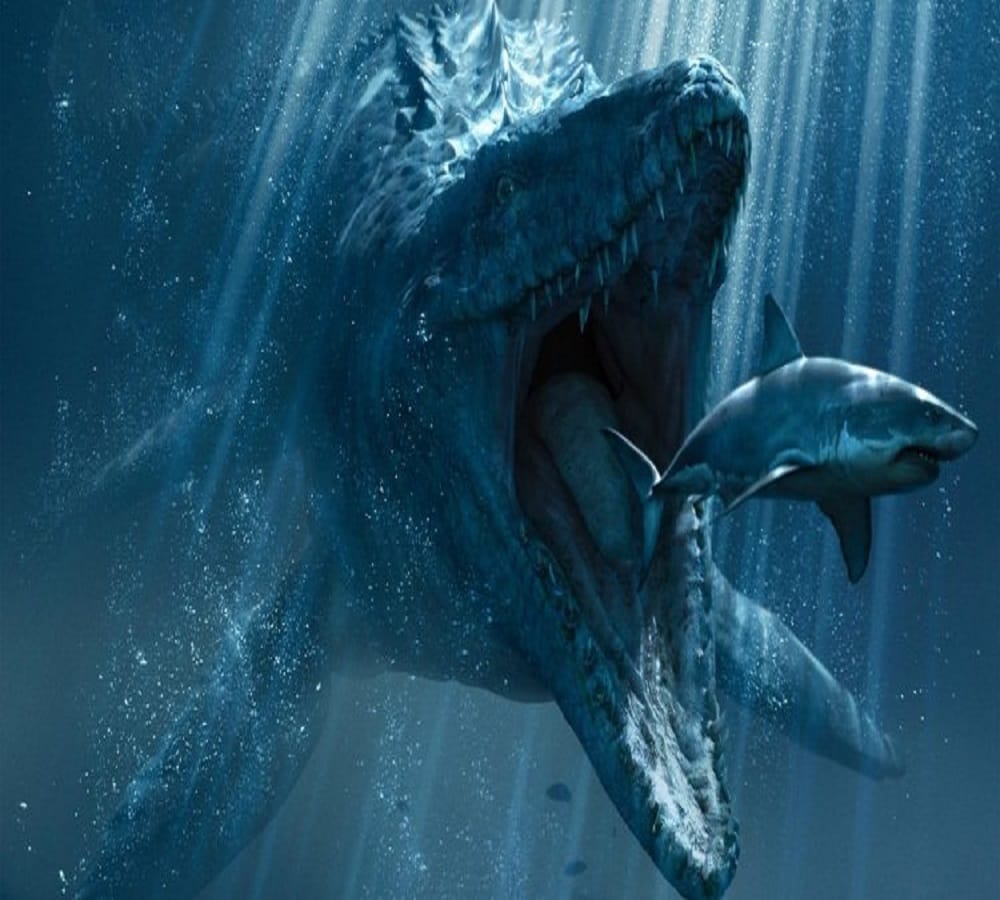 Dinosaurs found for the first time in India 