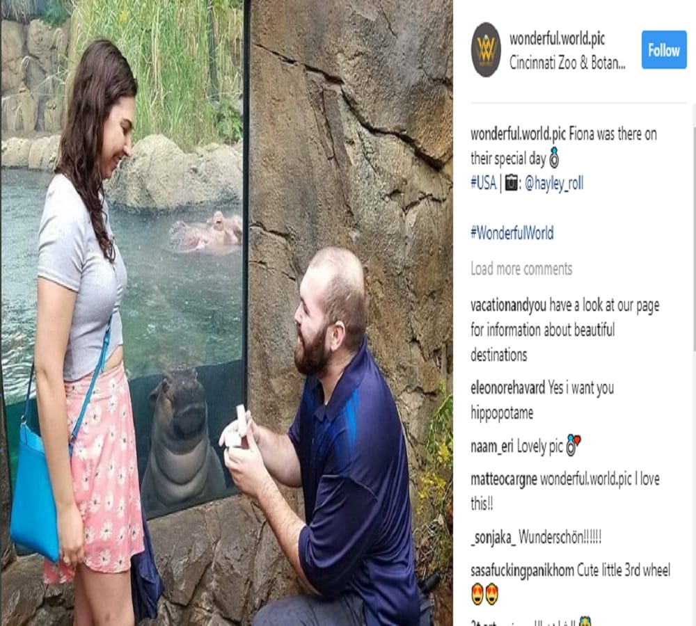 pictures viral of boyfriend girlfriend on social media due to a baby hippo