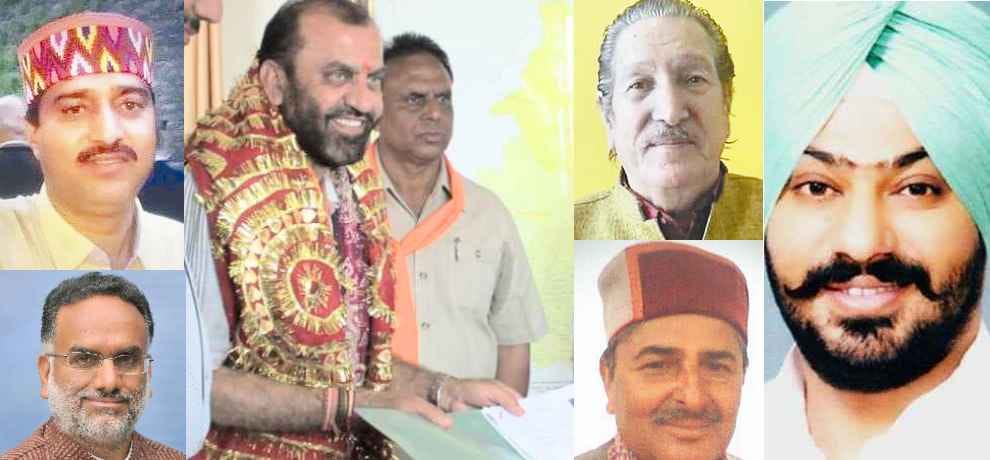 himachal assembly election 2017 338 candidates contest polls