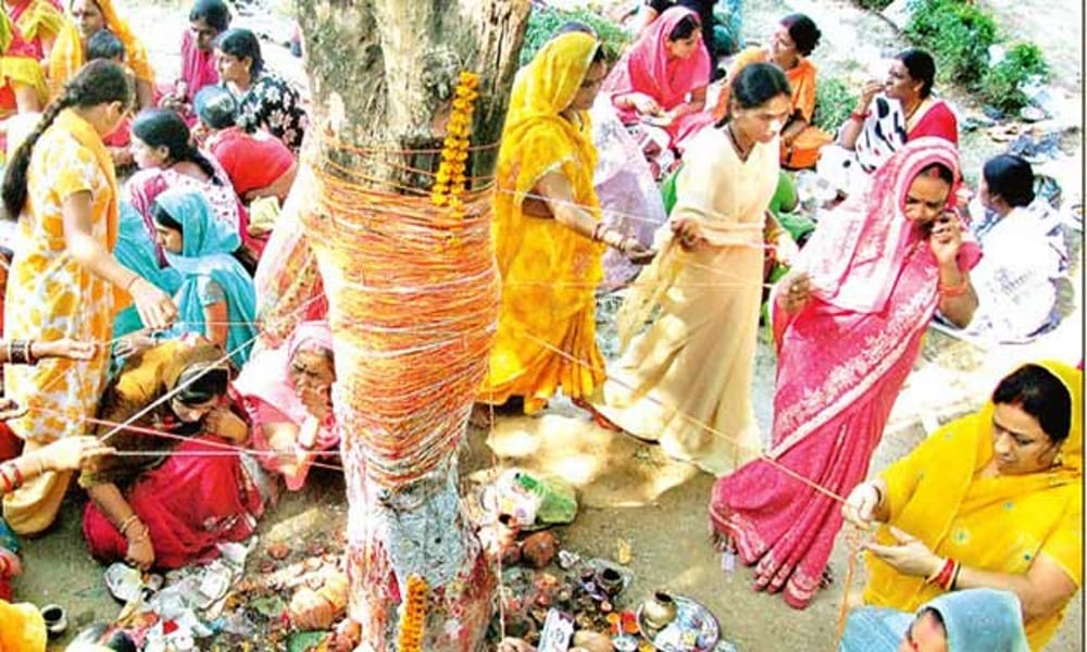amla navami or akshaya navami on 29 october importance and its significance